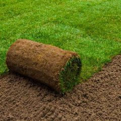 Quality Seed Grown Turf (sold per square yard)